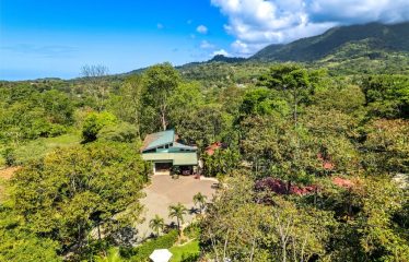 OWNER HOME AND TREE HOUSE VILLAS – 1.35 ACRES