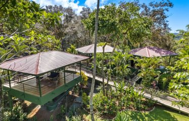 OWNER HOME AND TREE HOUSE VILLAS – 1.35 ACRES