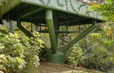 OWNER HOME AND TREE HOUSE VILLAS – 1.35 ACRES