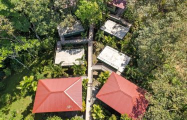 OWNER HOME AND TREE HOUSE VILLAS – 1.35 ACRES