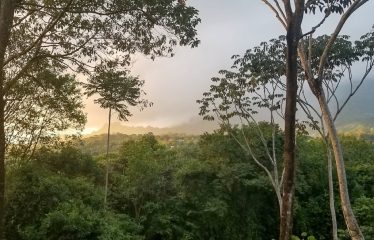 OWNER HOME AND TREE HOUSE VILLAS – 1.35 ACRES