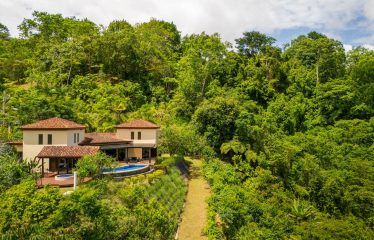 AMAZING OCEAN, JUNGLE AND WATERFALL VIEWS WITH THREE HOMES – 71 ACRES