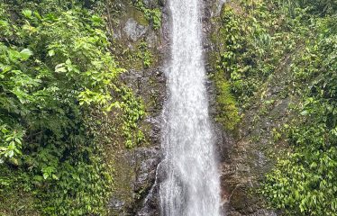 AMAZING OCEAN, JUNGLE AND WATERFALL VIEWS WITH THREE HOMES – 71 ACRES