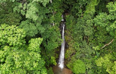 AMAZING OCEAN, JUNGLE AND WATERFALL VIEWS WITH THREE HOMES – 71 ACRES