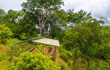 AMAZING OCEAN, JUNGLE AND WATERFALL VIEWS WITH THREE HOMES – 71 ACRES