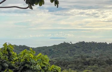 OCEAN VIEW 4 BEDROOM HOME IN OJOCHAL – 3.23 ACRES