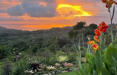 OCEAN VIEW 4 BEDROOM HOME IN OJOCHAL – 3.23 ACRES