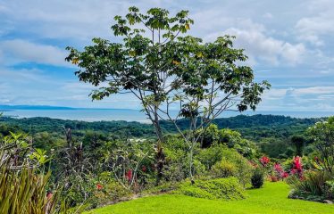 OCEAN VIEW 4 BEDROOM HOME IN OJOCHAL – 3.23 ACRES