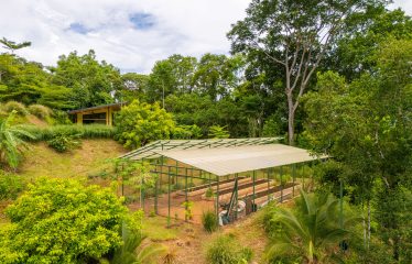 AMAZING OCEAN, JUNGLE AND WATERFALL VIEWS WITH THREE HOMES – 71 ACRES