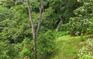 AMAZING OCEAN, JUNGLE AND WATERFALL VIEWS WITH THREE HOMES – 71 ACRES