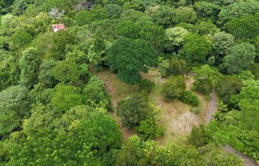 AMAZING OCEAN, JUNGLE AND WATERFALL VIEWS WITH THREE HOMES – 71 ACRES