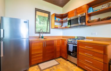 3 BEDROOM LUXURY HOME WITH OCEAN VIEW AND GUEST HOUSE