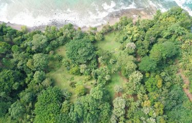 BEACHFRONT OPPORTUNITY DEVELOPMENT IN DOMINICAL – 2.33 ACRES