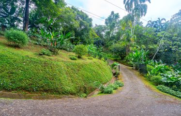 OCEAN VIEW COMTEMPORARY 2-BEDROOM HOME IN GATED COMMUNITY – 2.94 ACRES