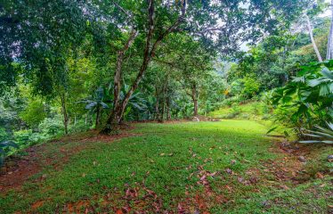 OCEAN VIEW COMTEMPORARY 2-BEDROOM HOME IN GATED COMMUNITY – 2.94 ACRES