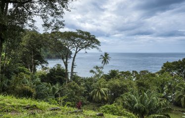 BEACHFRONT OPPORTUNITY DEVELOPMENT IN DOMINICAL – 2.33 ACRES