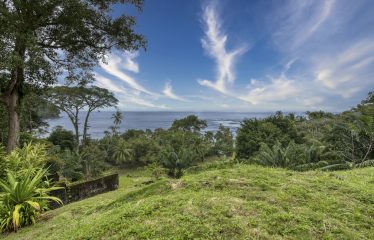 BEACHFRONT OPPORTUNITY DEVELOPMENT IN DOMINICAL – 2.33 ACRES