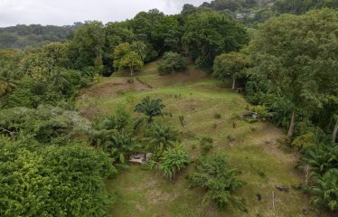 BEACHFRONT OPPORTUNITY DEVELOPMENT IN DOMINICAL – 2.33 ACRES