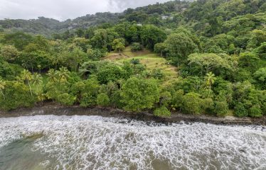 BEACHFRONT OPPORTUNITY DEVELOPMENT IN DOMINICAL – 2.33 ACRES