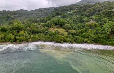 BEACHFRONT OPPORTUNITY DEVELOPMENT IN DOMINICAL – 2.33 ACRES