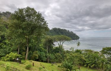 BEACHFRONT OPPORTUNITY DEVELOPMENT IN DOMINICAL – 2.33 ACRES