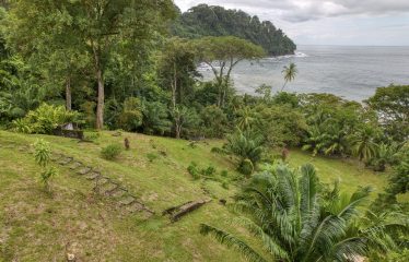BEACHFRONT OPPORTUNITY DEVELOPMENT IN DOMINICAL – 2.33 ACRES