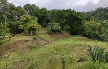 BEACHFRONT OPPORTUNITY DEVELOPMENT IN DOMINICAL – 2.33 ACRES