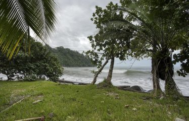 BEACHFRONT OPPORTUNITY DEVELOPMENT IN DOMINICAL – 2.33 ACRES
