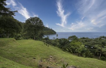 BEACHFRONT OPPORTUNITY DEVELOPMENT IN DOMINICAL – 2.33 ACRES
