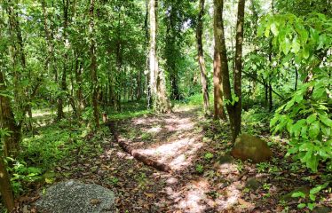 OCEAN AND MOUNTAIN VIEW LOT 7.7 ACRES