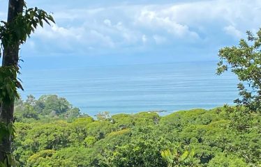 OCEAN AND MOUNTAIN VIEW LOT 7.7 ACRES