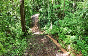 OCEAN AND MOUNTAIN VIEW LOT 7.7 ACRES