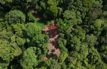 OCEAN AND MOUNTAIN VIEW LOT 7.7 ACRES