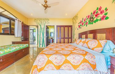 LUXURY HOME AND GUEST HOUSE WITH 9 ACRES OF LAND