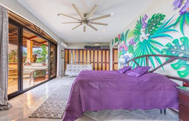 LUXURY HOME AND GUEST HOUSE WITH 9 ACRES OF LAND