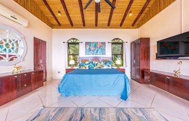 LUXURY HOME AND GUEST HOUSE WITH 9 ACRES OF LAND