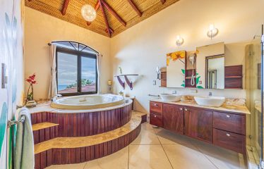 LUXURY HOME AND GUEST HOUSE WITH 9 ACRES OF LAND