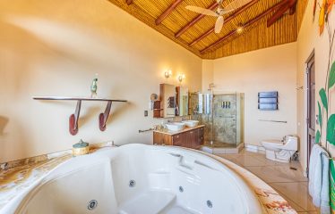 LUXURY HOME AND GUEST HOUSE WITH 9 ACRES OF LAND