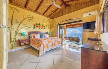 LUXURY HOME AND GUEST HOUSE WITH 9 ACRES OF LAND