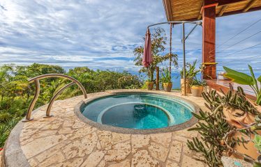 LUXURY HOME AND GUEST HOUSE WITH 9 ACRES OF LAND