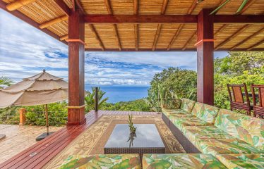 LUXURY HOME AND GUEST HOUSE WITH 9 ACRES OF LAND