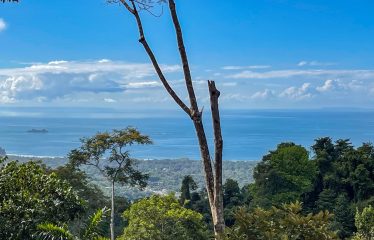 BEAUTIFUL JUNGLE AND OCEAN VIEW LOT IN UVITA 1.2 ACRES