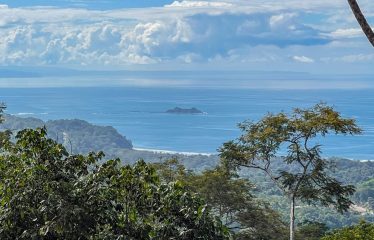 BEAUTIFUL JUNGLE AND OCEAN VIEW LOT IN UVITA 1.2 ACRES