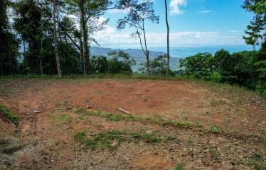 BEAUTIFUL JUNGLE AND OCEAN VIEW LOT IN UVITA 1.2 ACRES