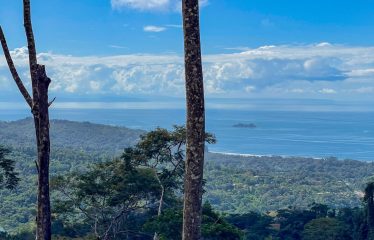BEAUTIFUL JUNGLE AND OCEAN VIEW LOT IN UVITA 1.2 ACRES