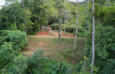 BEAUTIFUL JUNGLE AND OCEAN VIEW LOT IN UVITA 1.2 ACRES