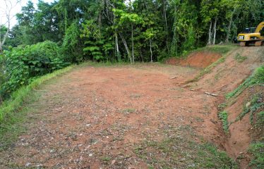 BEAUTIFUL JUNGLE AND OCEAN VIEW LOT IN UVITA 1.2 ACRES