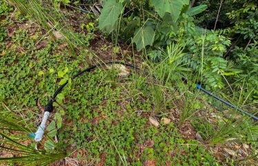 BEAUTIFUL JUNGLE AND OCEAN VIEW LOT IN UVITA 1.2 ACRES