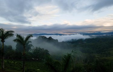 PREMIER LUXURY ESTATE RANCHO VILLA VERDE A FAMILY COMPOUND / BOUTIQUE HOTEL STYLE – 107.95 ACRES