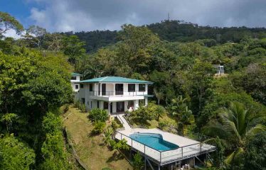 LUXURY HOME WITH GUEST HOUSE AND AMAZING OCEAN VIEWS – 3.33 ACRES